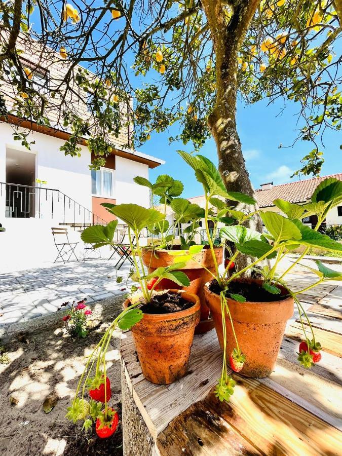 Hostel Do Alto - Fao Esposende Exteriör bild
